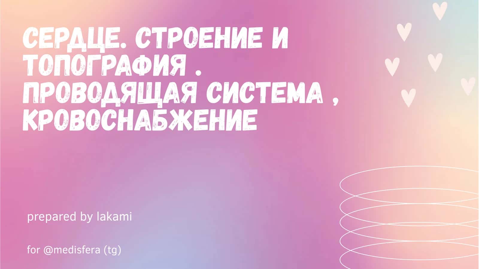 Сердце. строение и топография 1