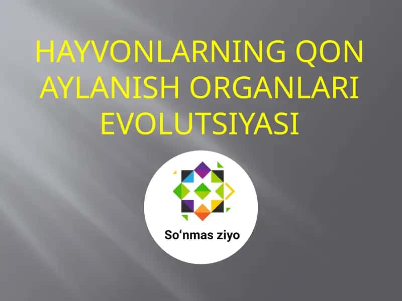 HAYVONLARNING QON AYLANISH ORGANLARI EVOLUTSIYASI 1
