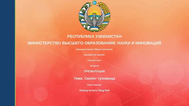 Презентация "Скелет туловища" 1
