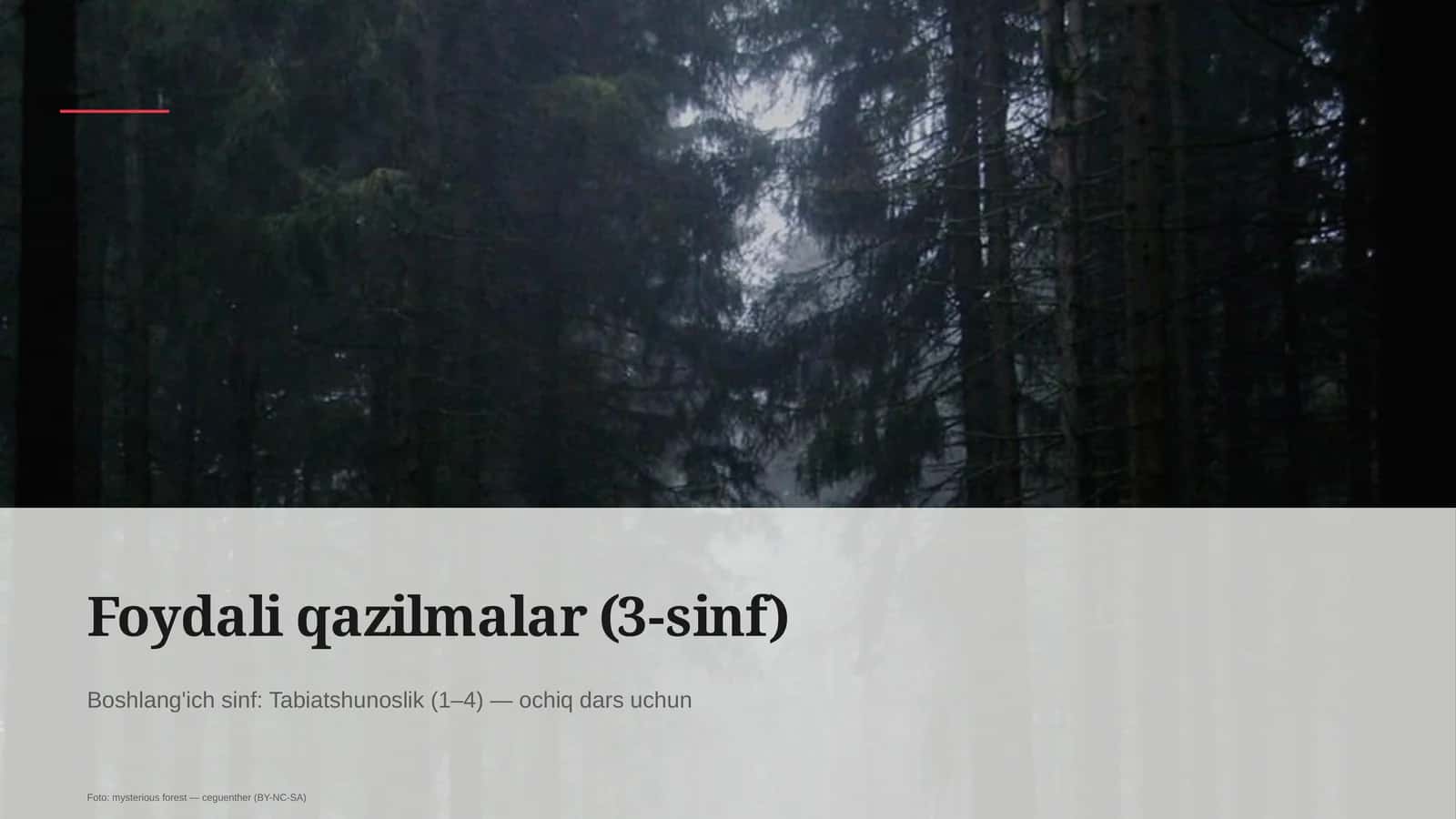 Foydali qazilmalar (3-sinf) 1