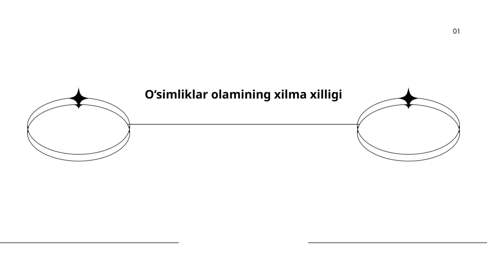 O‘simliklar olamining xilma xilligi 1