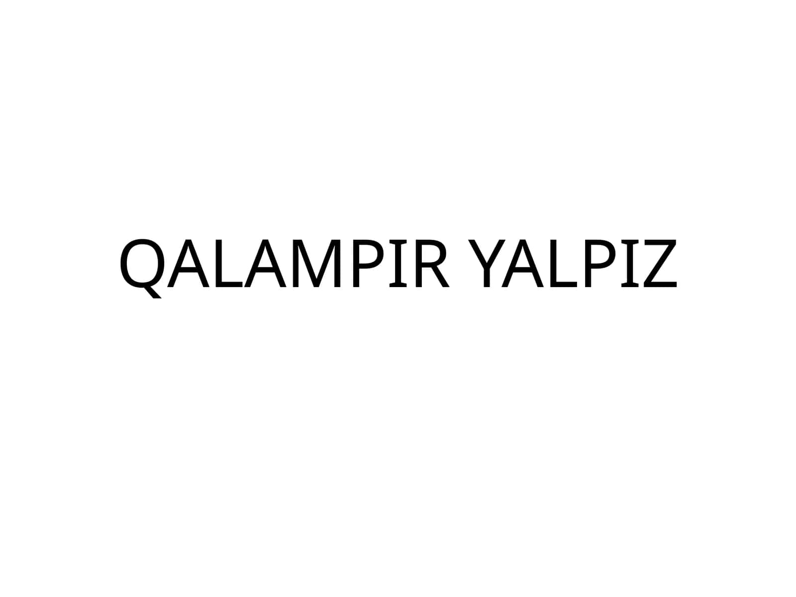 QALAMPIR YALPIZ 1