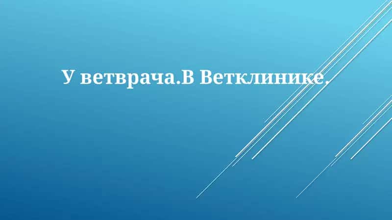 Уветврача.ВВетклинике. 1