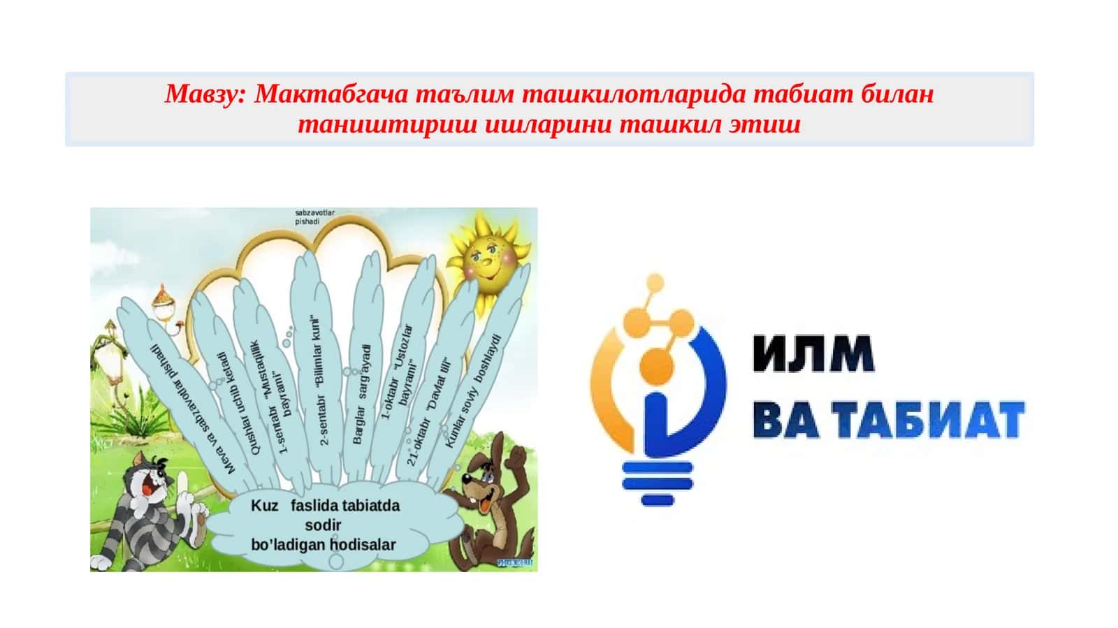 Табиат билан таништириш ишлари 1