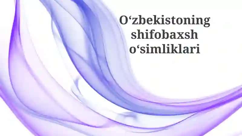 O'zbekistonning dorivor o'simliklari