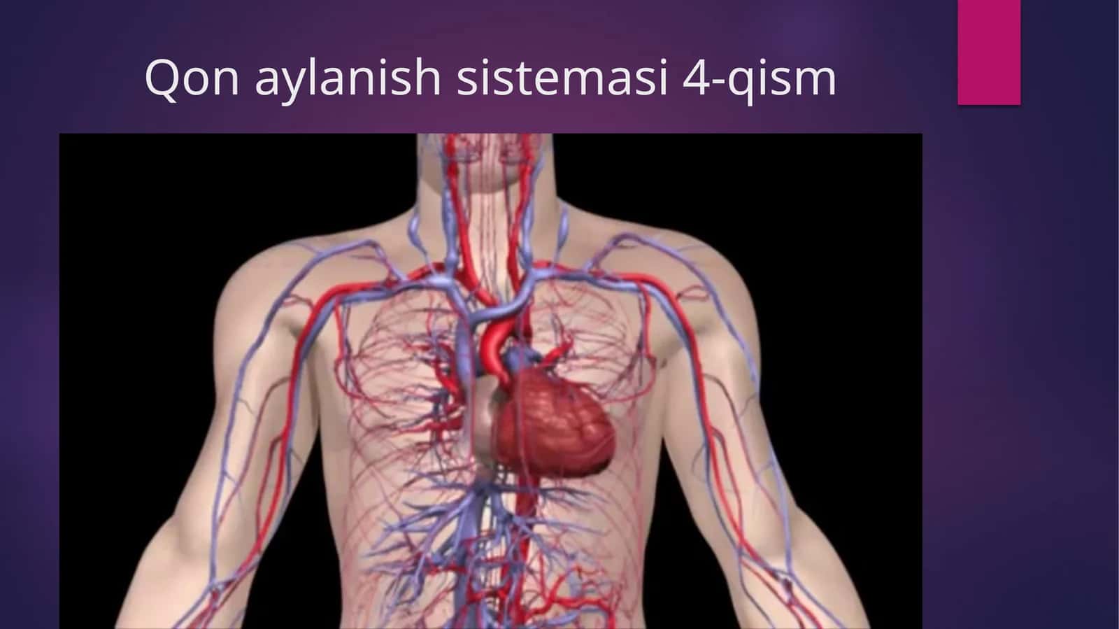 Qonaylanish sistemasi 4-qism 1