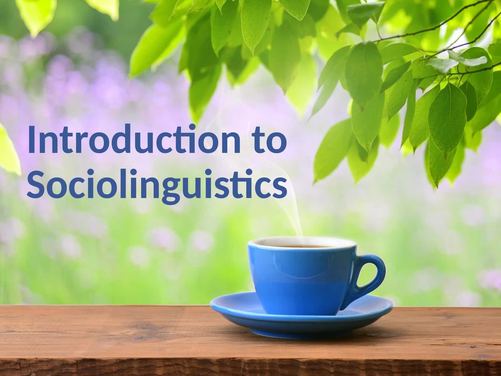 Introduction to Sociolinguistics 1