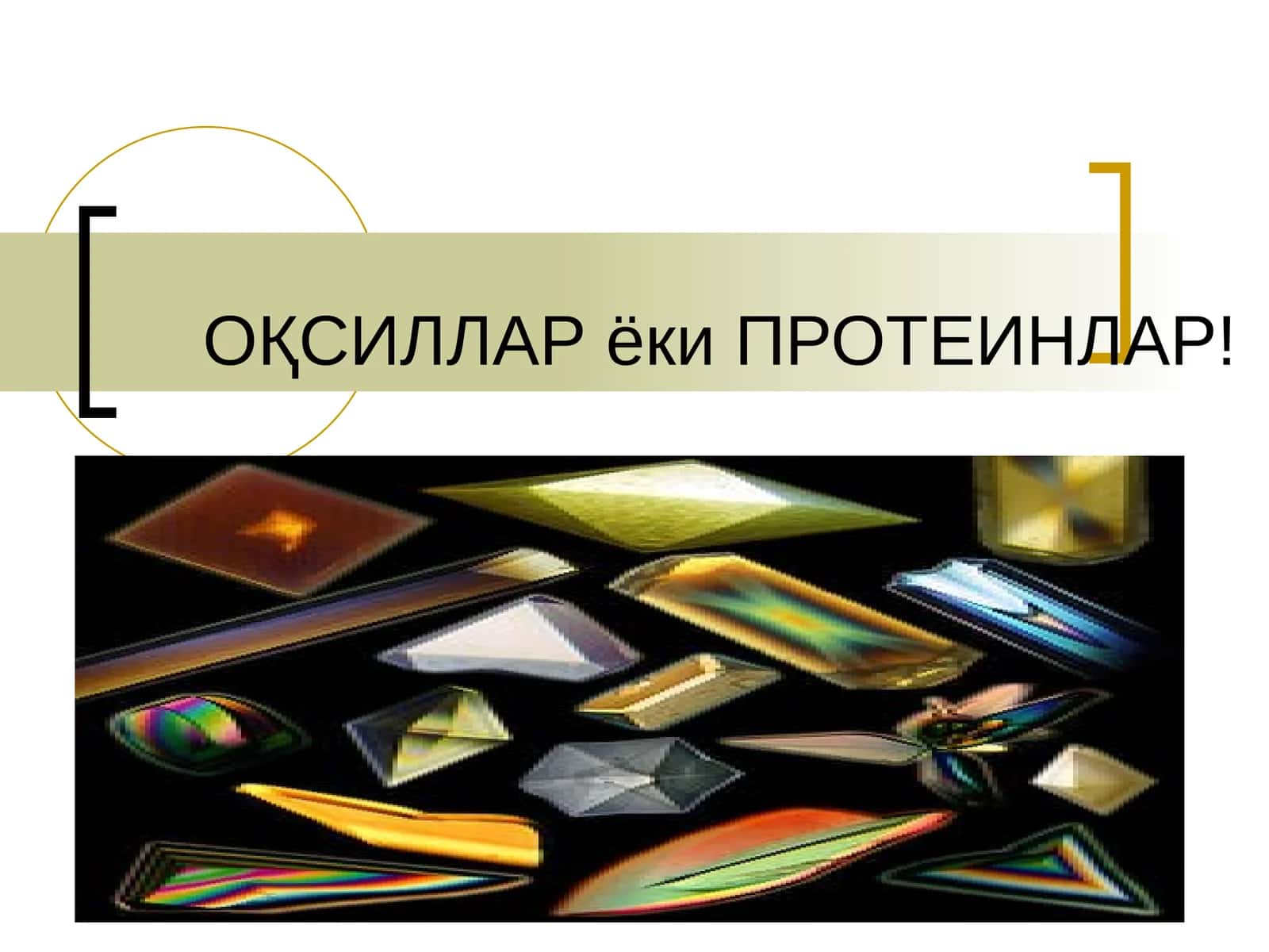 Оқсиллар ёки Протеинлар 1