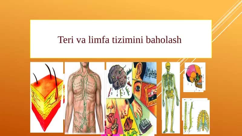 Teri va limfa tizimini baholash 1