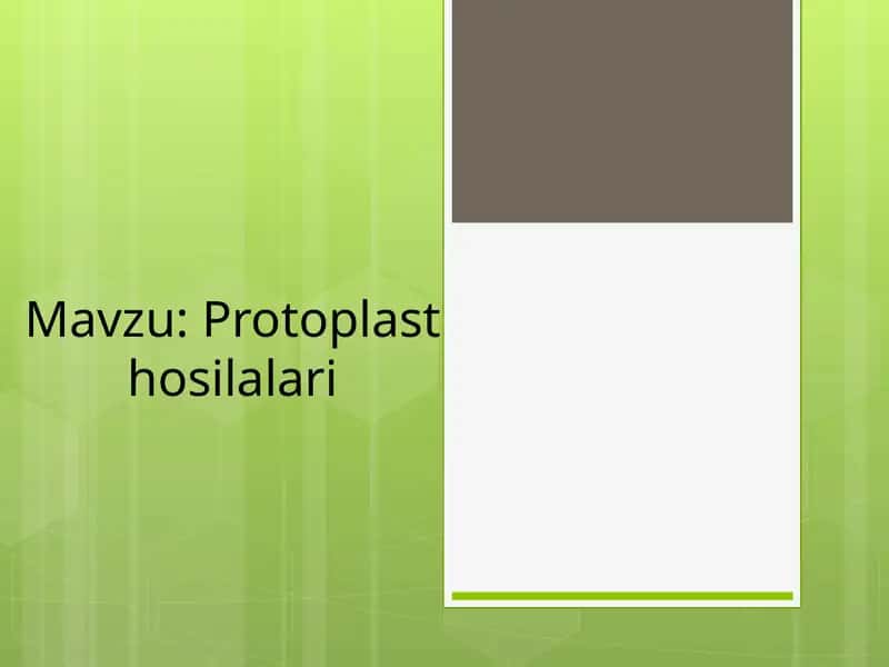 Protoplast hosilalari 1