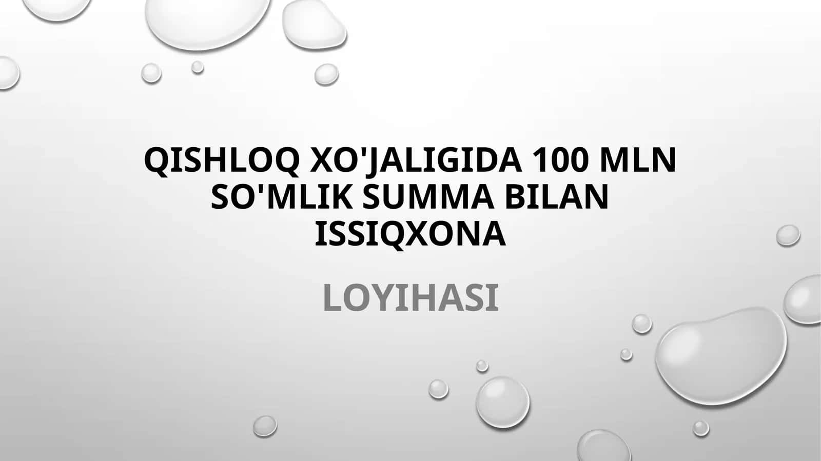 (100 millionlik loyiha ishi)  Surxondaryo viloyatida issiqxona loyihasi 1