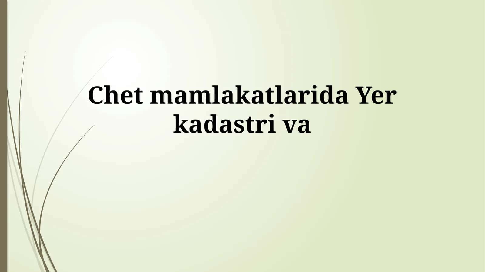 Chet mamlakatlarida Yerkadastriva 1
