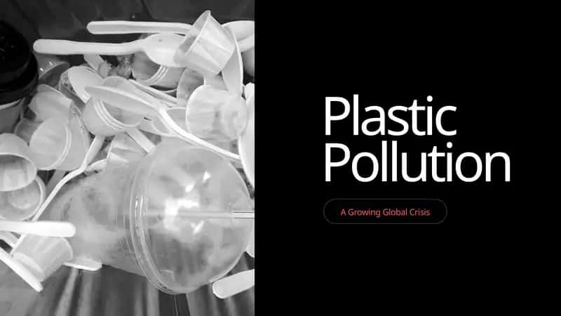Plastic Pollution 1