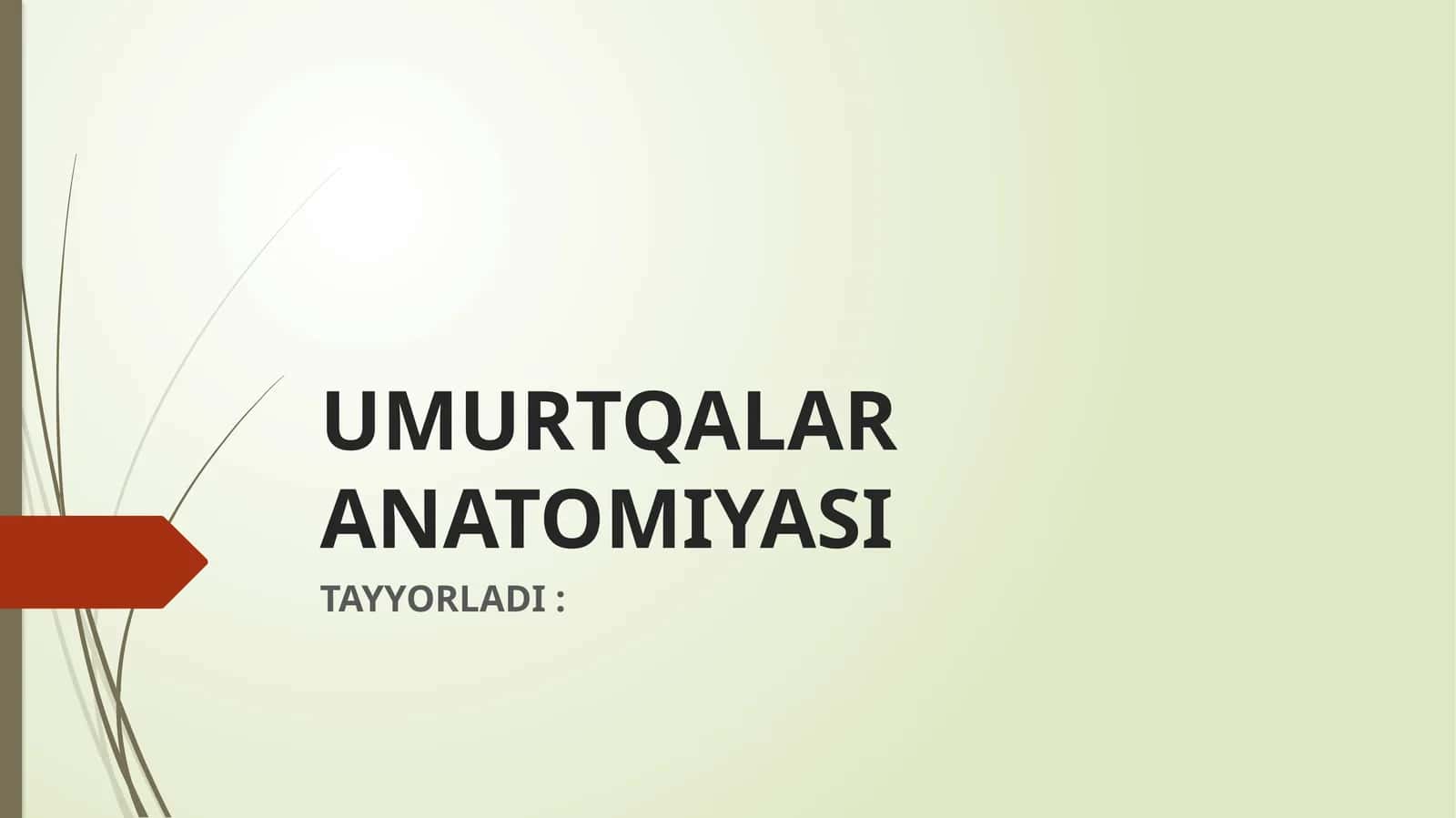 UMURTQALAR ANATOMIYASI 1