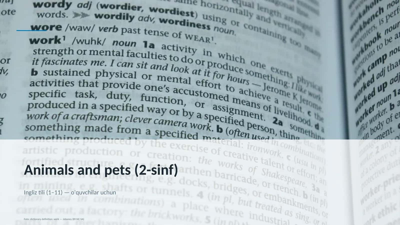 Animals and pets (2-sinf) 1