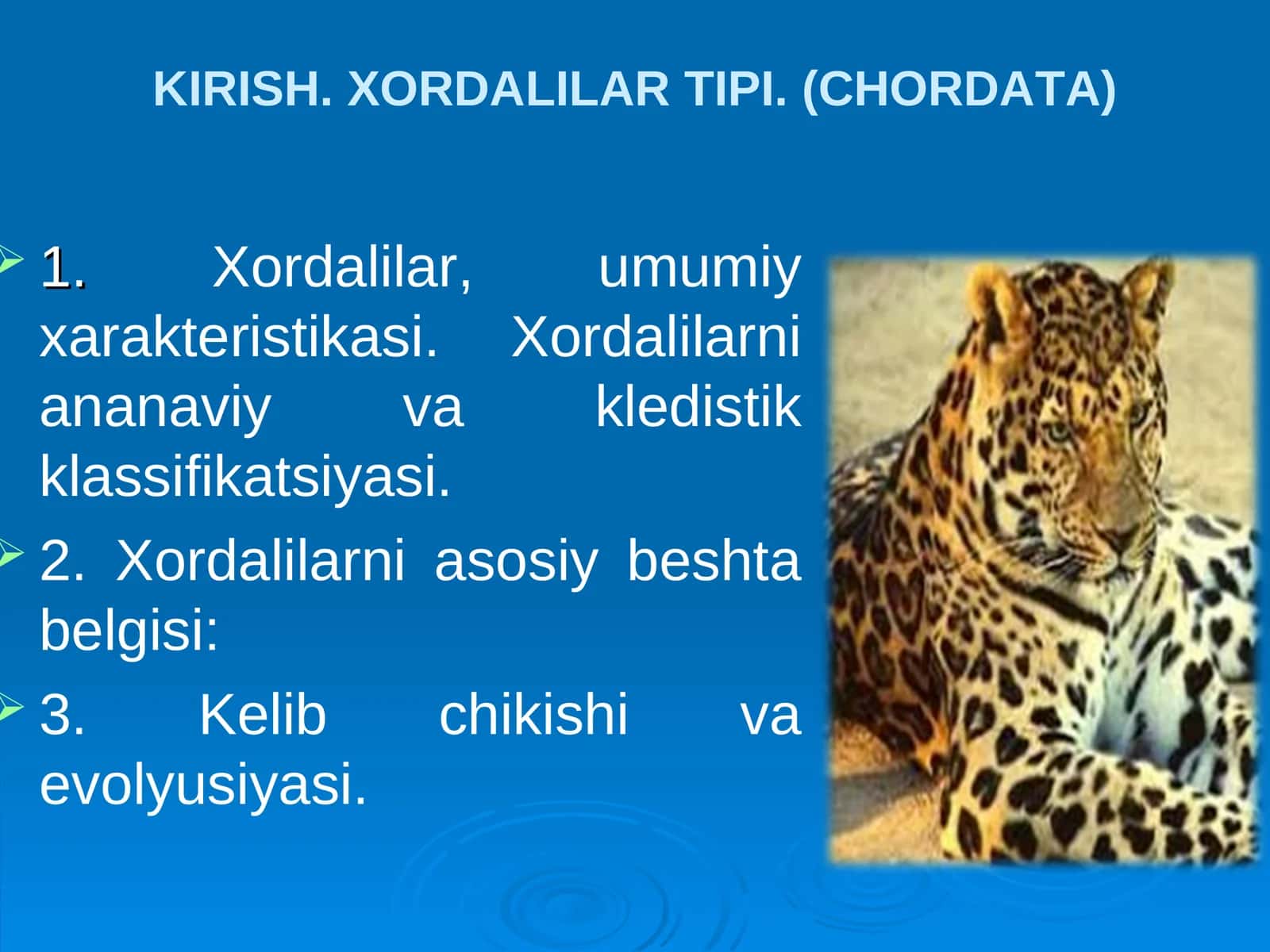 Xordalilar tipi 1
