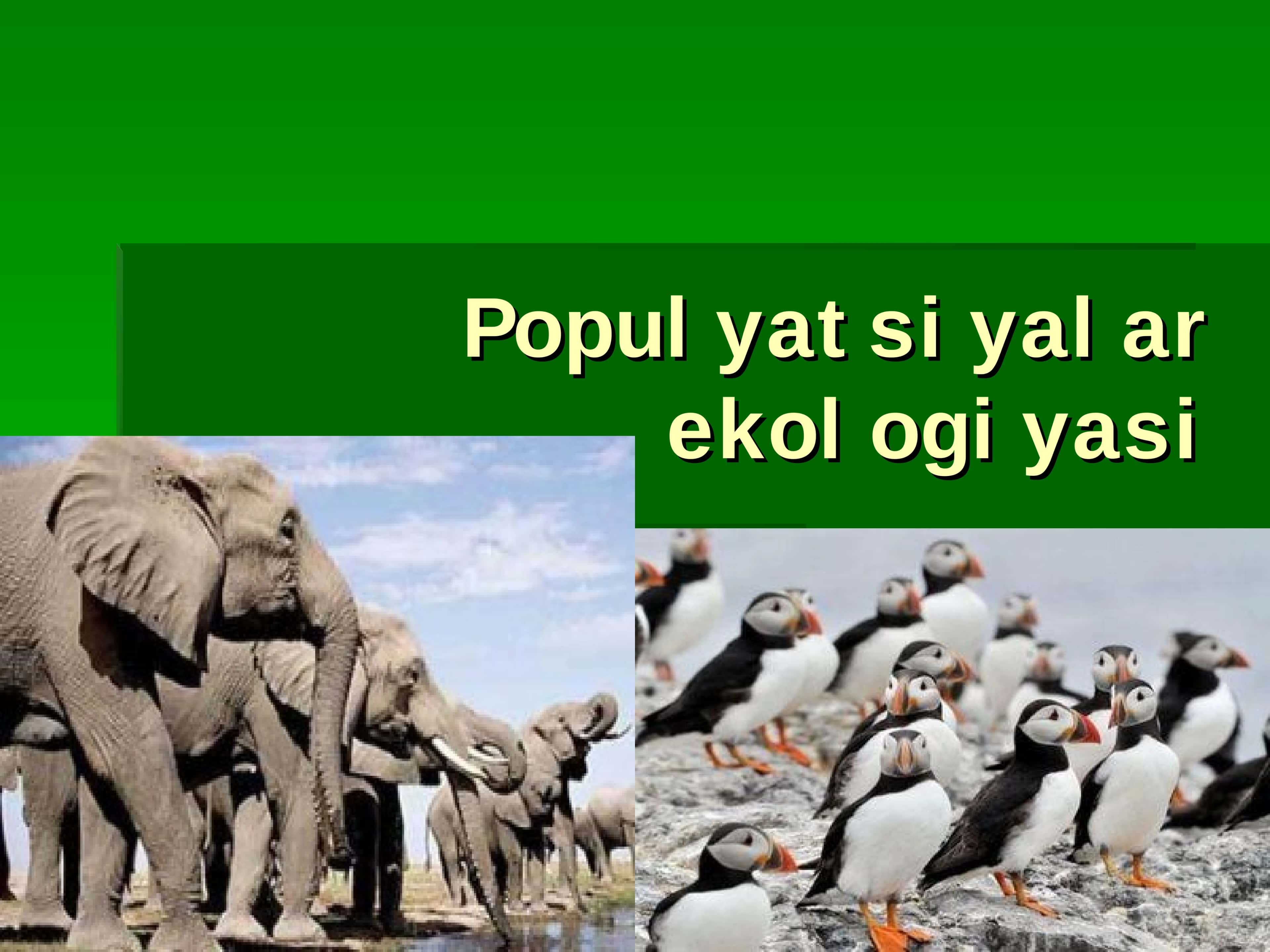 Populyatsiyalar ekologiyasi