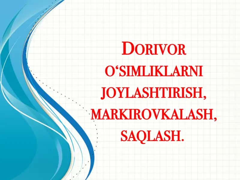 Dorivor o'simliklarni joylashtirish, tayyorlash, markirovkalash 1