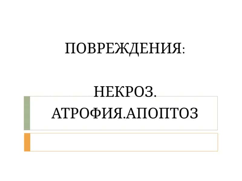 Некроз, Атрофия, Апоптоз 1