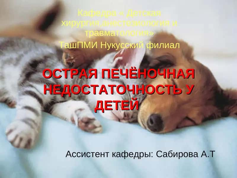 Острая печеночная недостаточность у детей 1