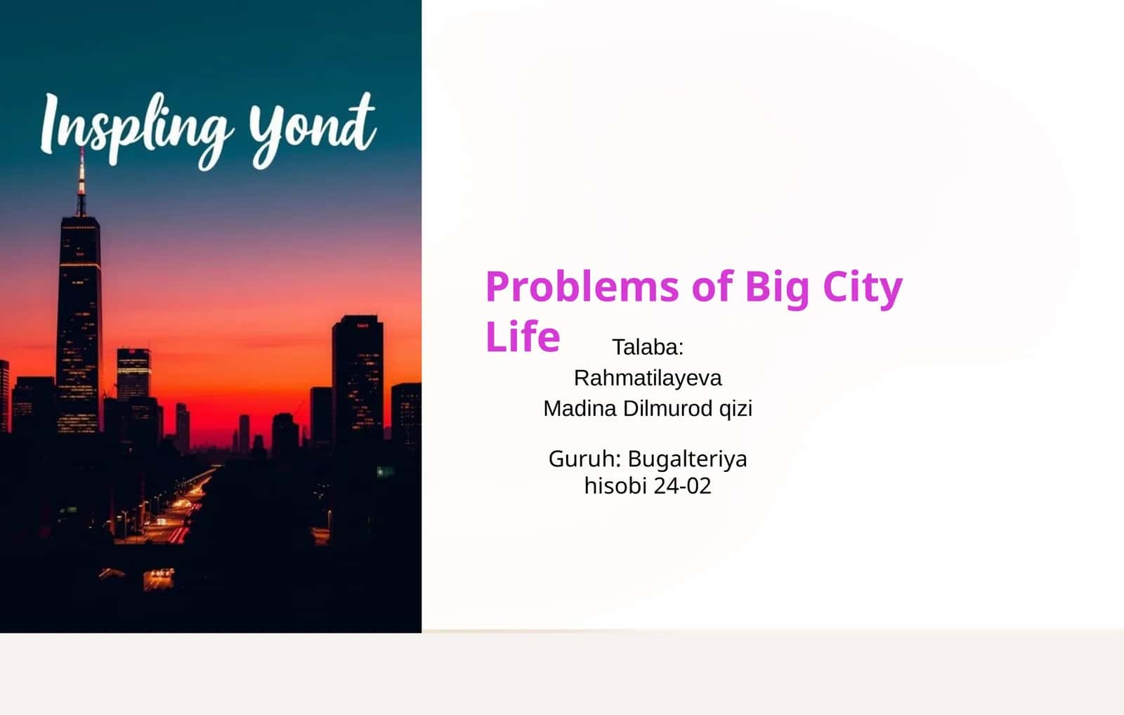 Problems of Big City Life 1