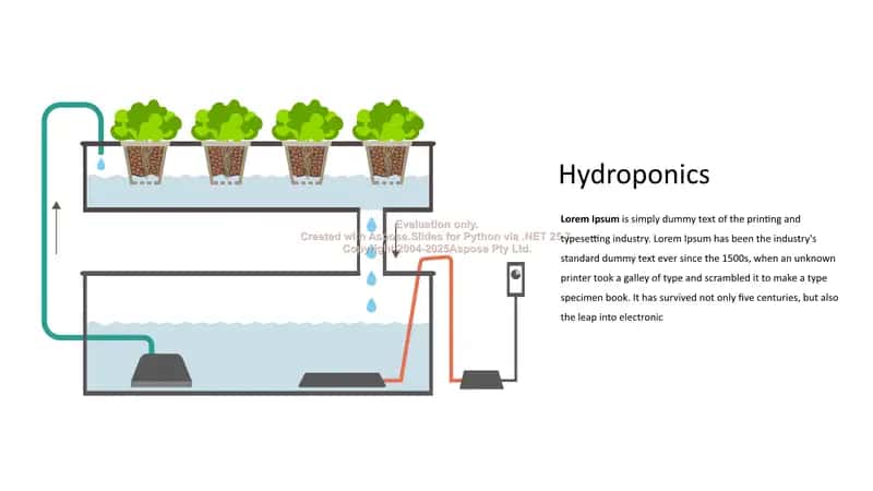 Hydroponics 1