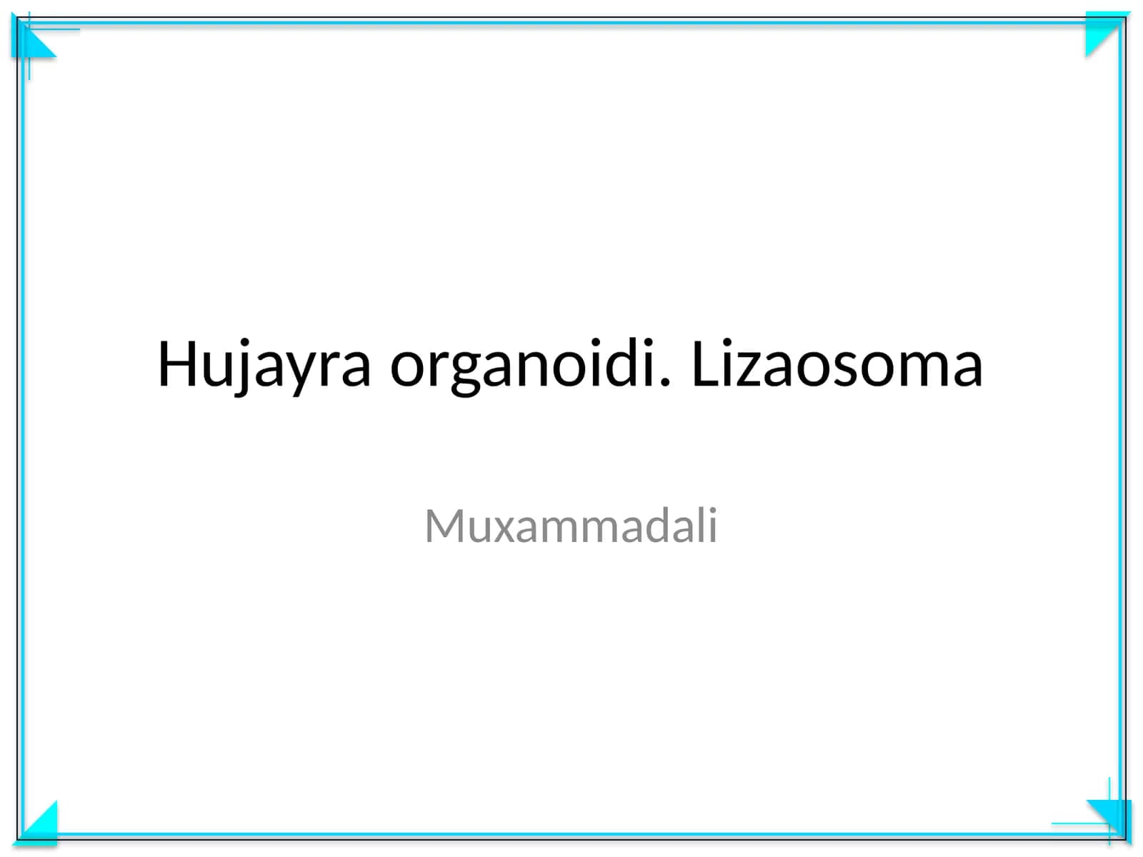Hujayra organoidi. Lizaosoma 1