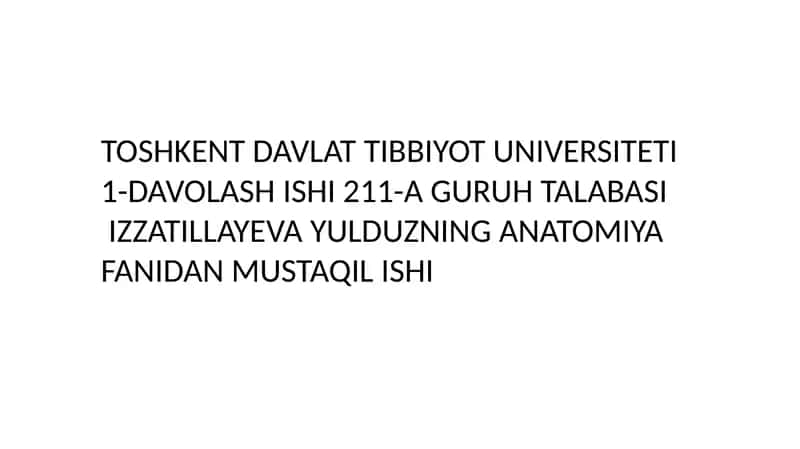 YELKA CHIGALI 1
