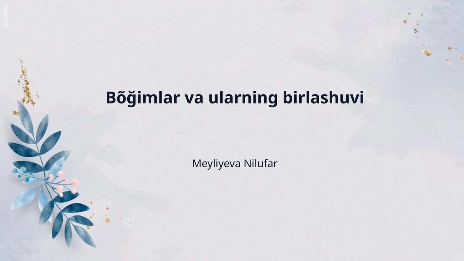 Bõğimlar va ularning birlashuvi 1