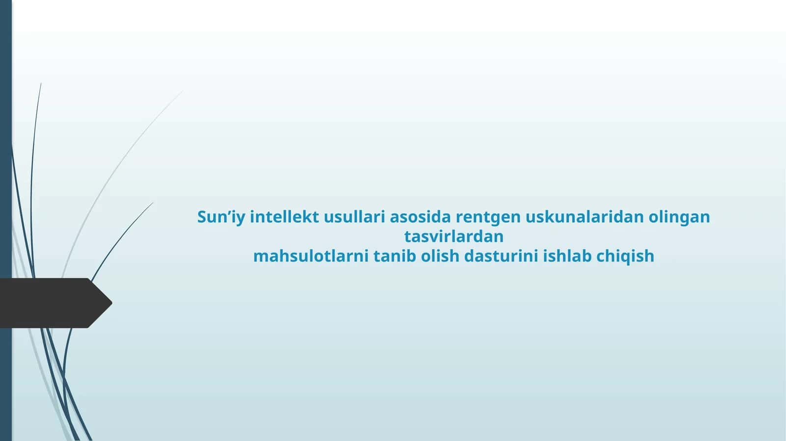 Sun’iy intellekt usullari asosida rentgen uskunalaridan olingan tasvirlardan mahsulotlarni tanib olish dasturini ishlab chiqish 1