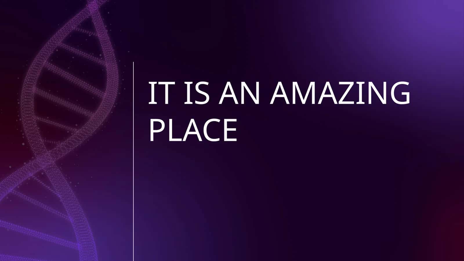 IT IS AN AMAZING PLACE 1