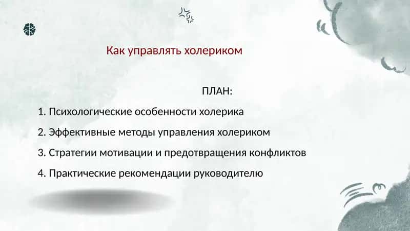 Как управлять холериком 1
