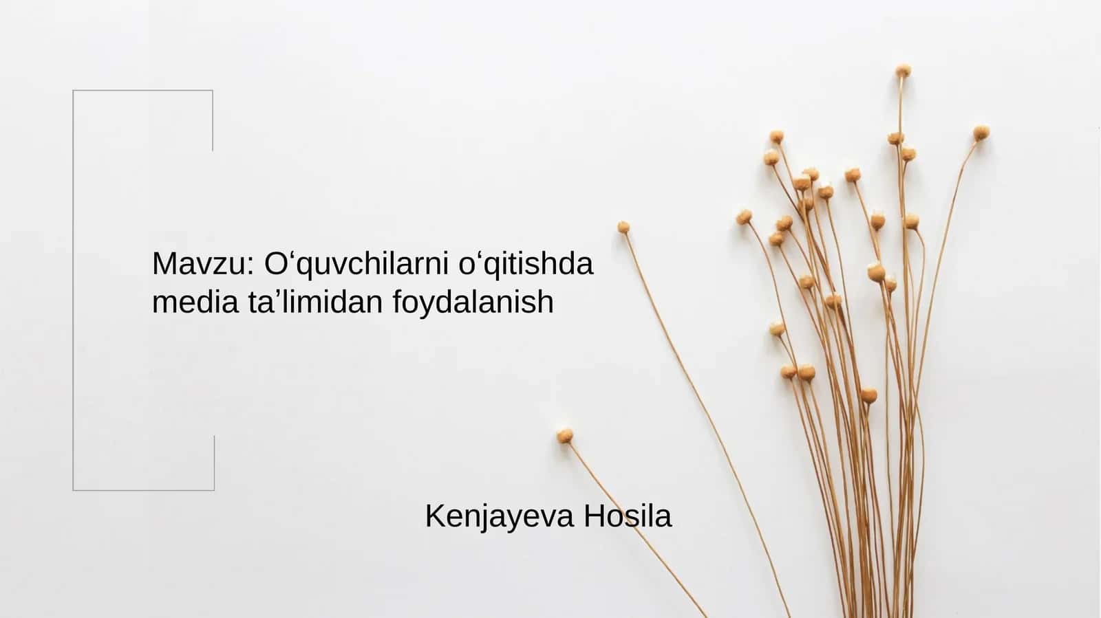 Multimediy vositalari (multimedia – ko’pvositalilik) 1