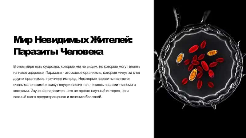 Мир Невидимых Жителей: Паразиты Человека 1