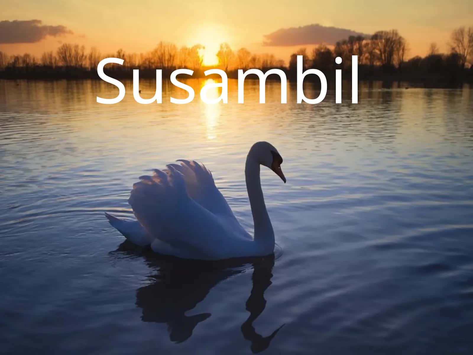 Susambil 1