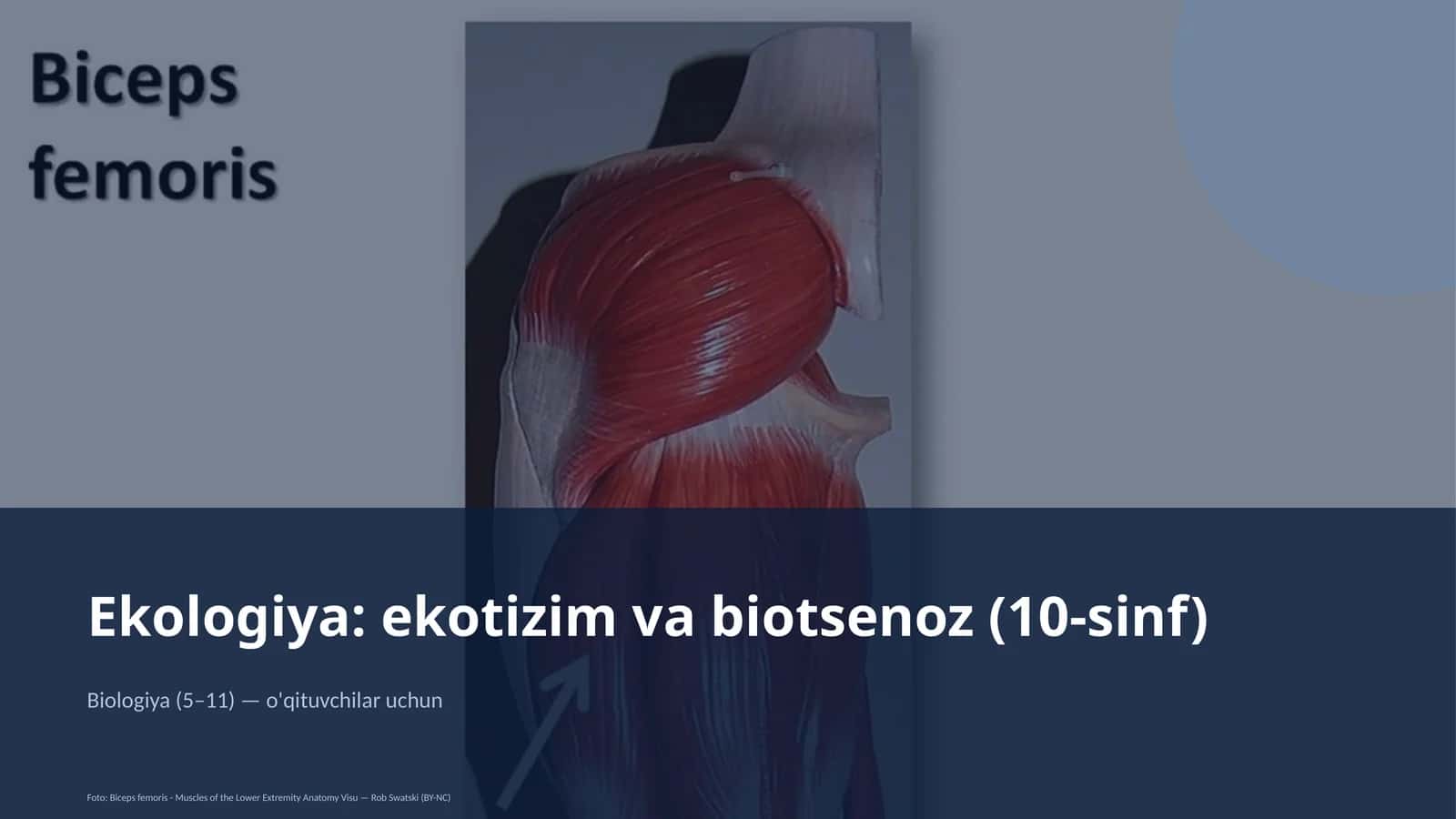 Ekologiya: ekotizim va biotsenoz (10-sinf) 1