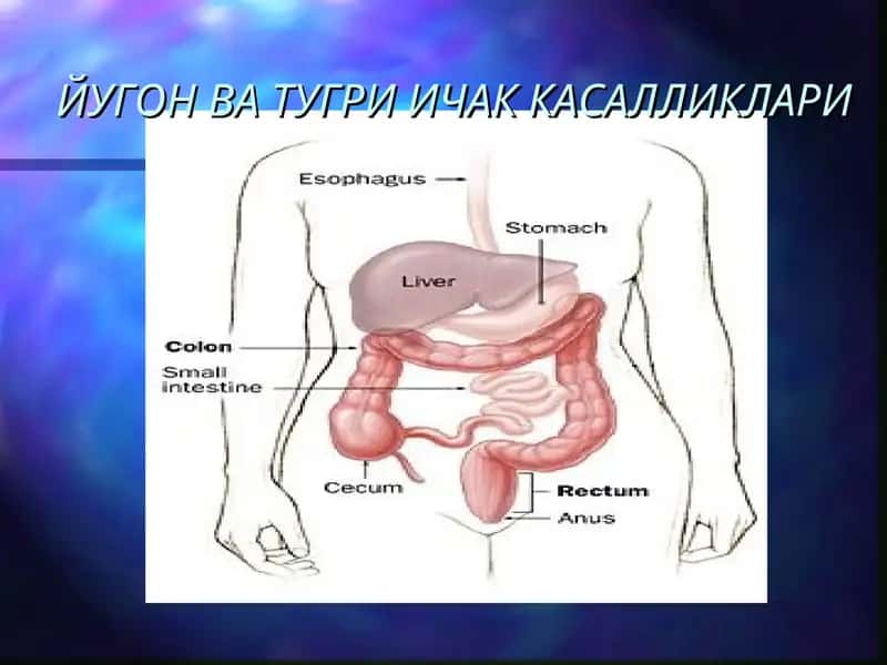 ЙУГОН ВА ТУГРИ ИЧАК КАСАЛЛИКЛАРИ 1