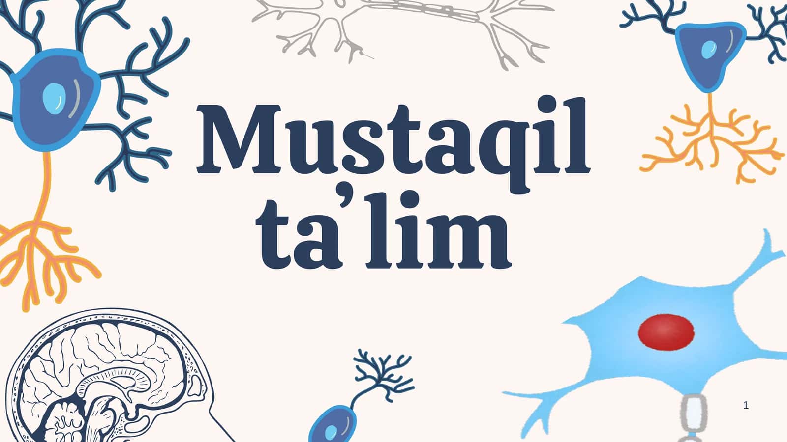 Periferik nerv tizimi va uning rivojlanishi 1