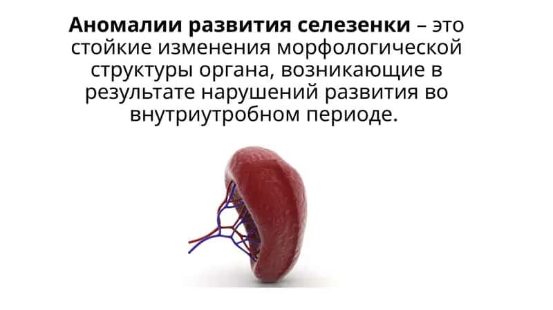 Taloq tug'ma nuqsonlari 1