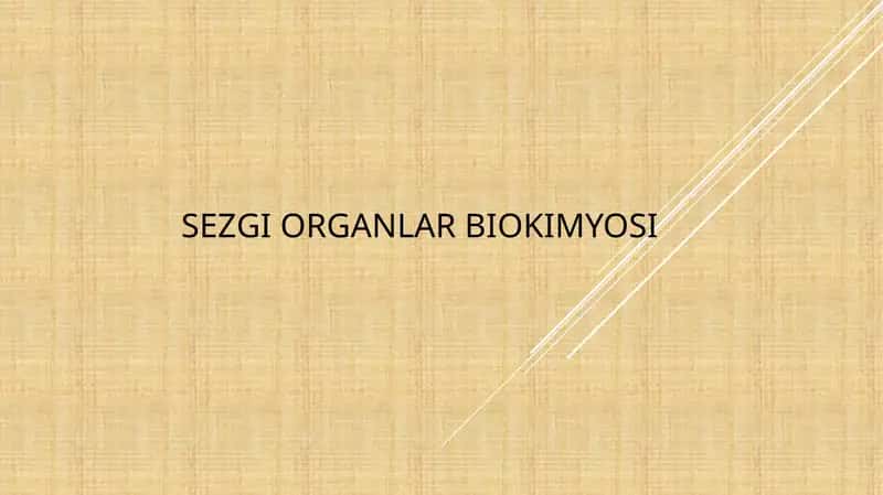 Sezgi organlar biokimyosi 1