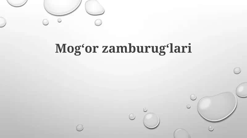 Mogʻorzamburugʻlari