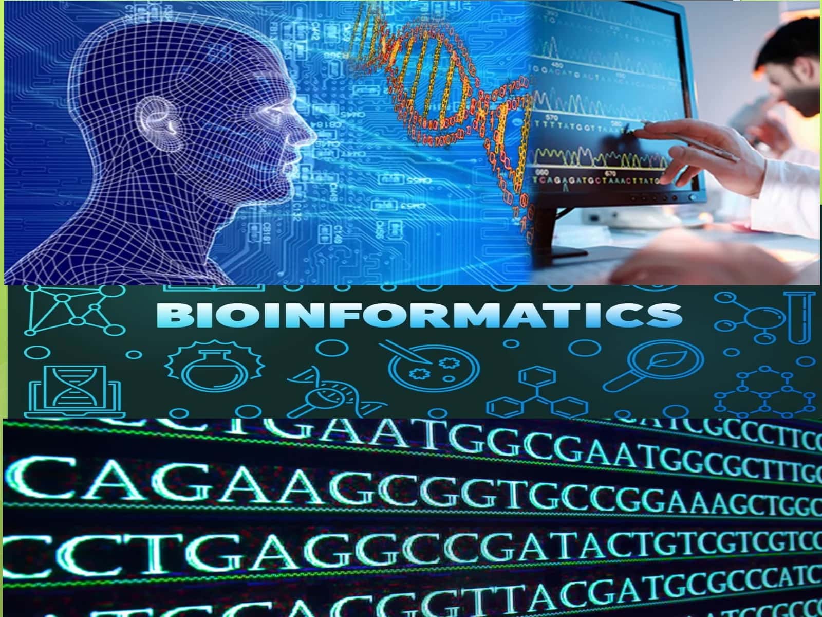 Zamonaviy bioinformatsion malumotlar bazalari 1