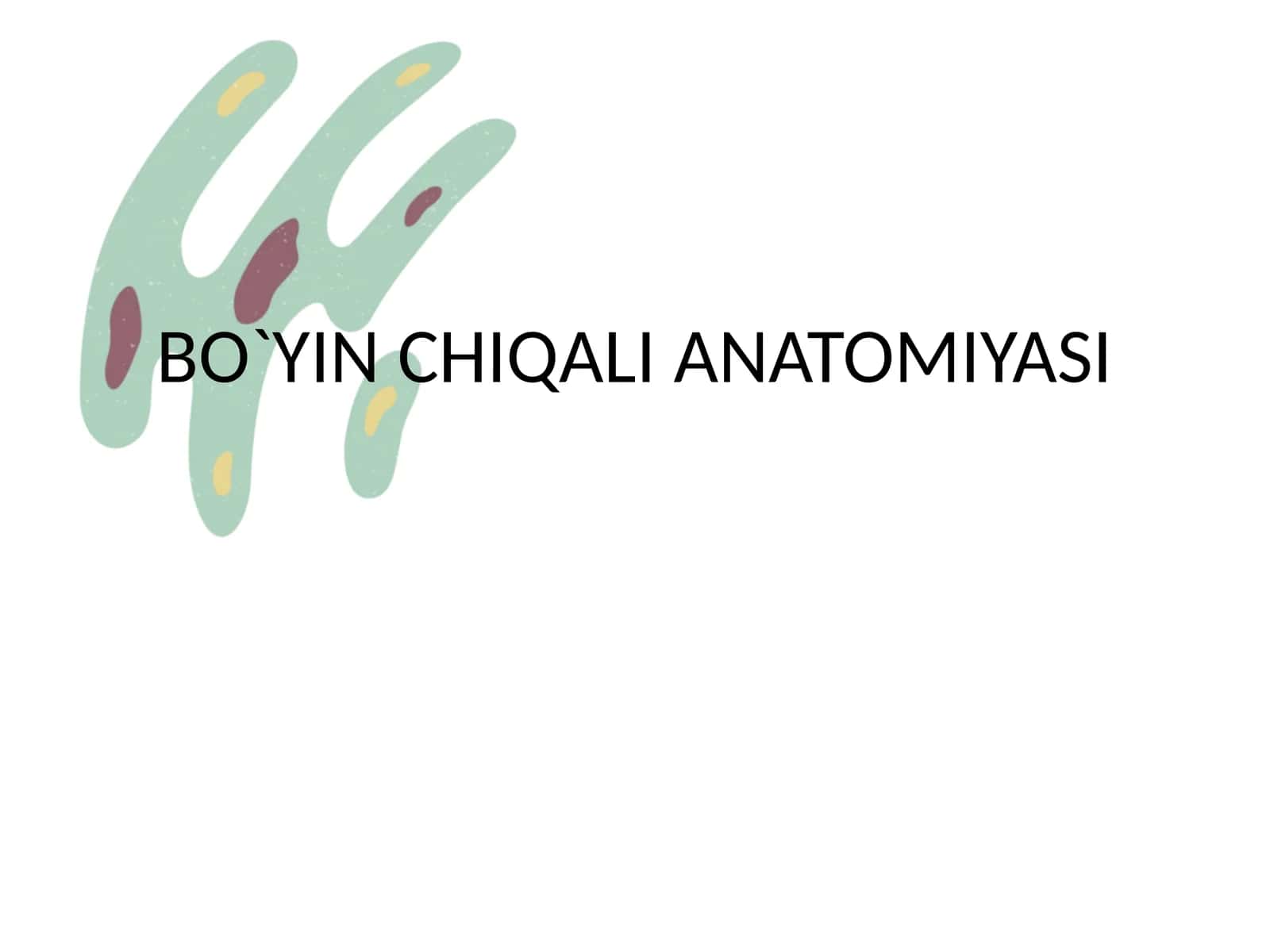 BO`YIN CHIQALI ANATOMIYASI 1
