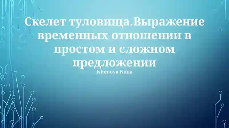 Скелет туловища: анатомический обзор