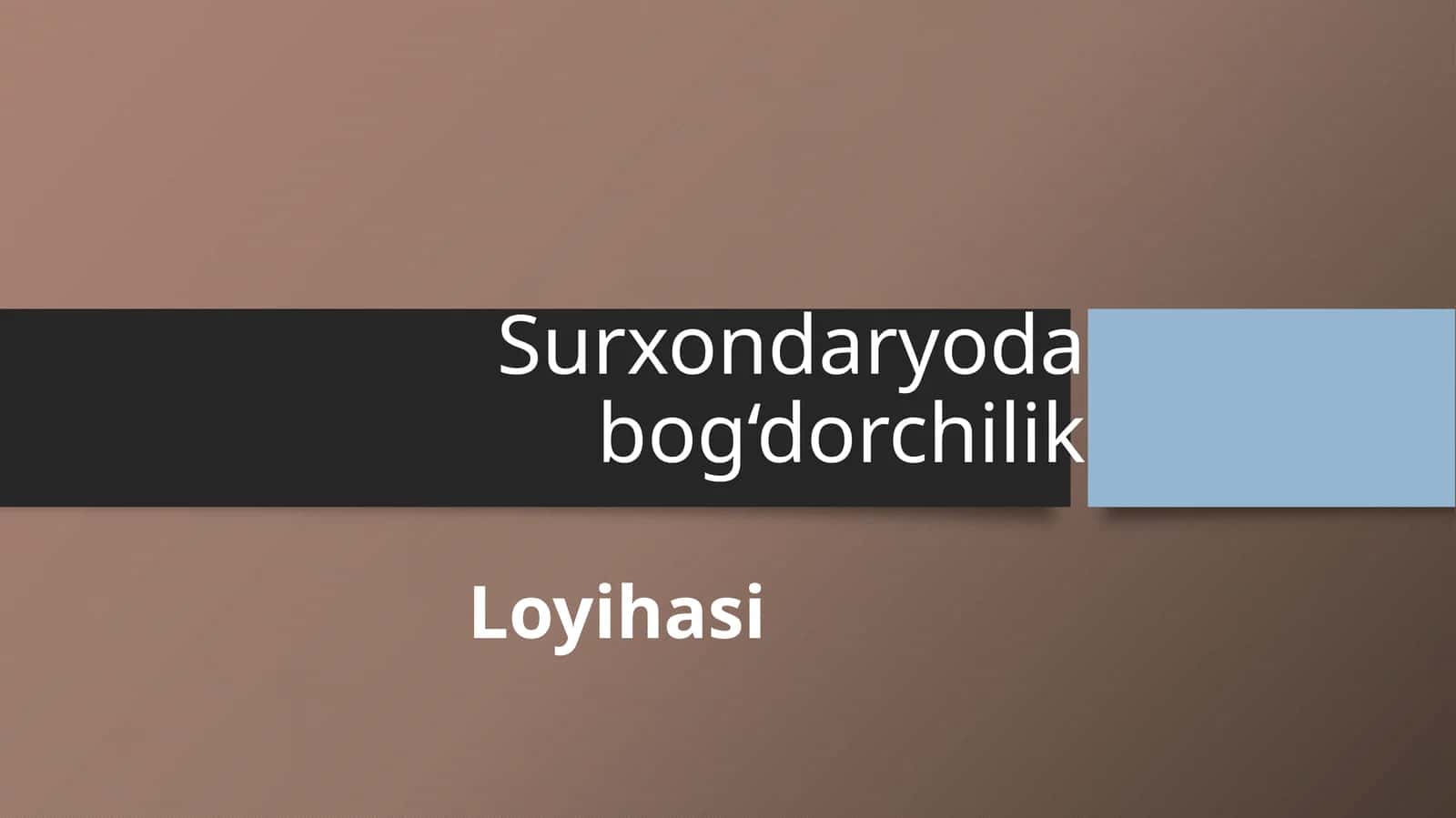 (100 millionlik loyiha ishi)  Surxondaryoda bog‘dorchilik Loyihasi 1