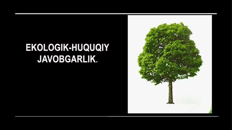 Ekologik-huquqiy Javobgarlik 1