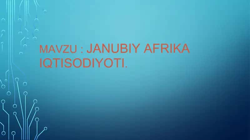 Janubiy Afrika Iqtisodiyoti.Taqdimot 1