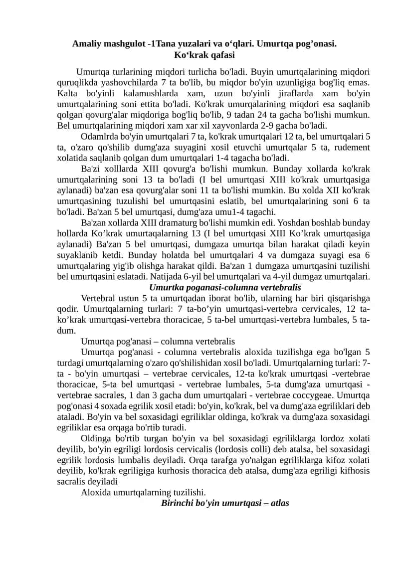 Ko'krak Umurtqalar 1