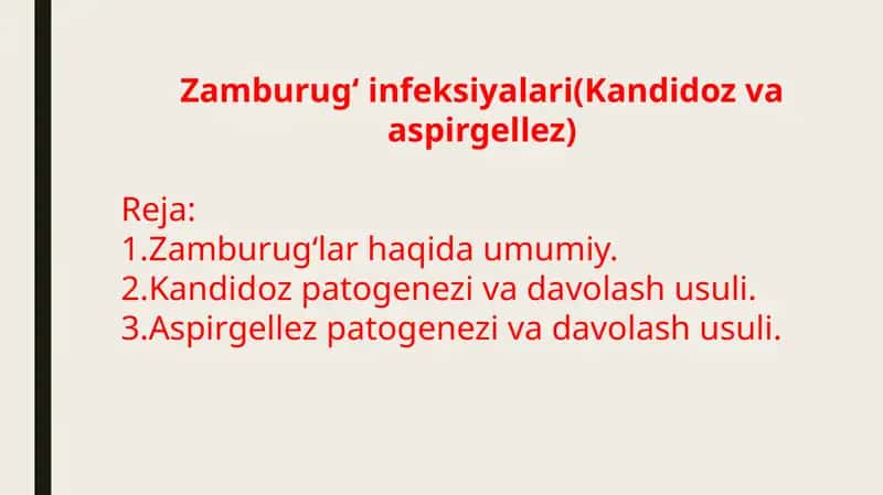Zamburug' infeksiyalari (Kandidoz va aspirgellez) 1