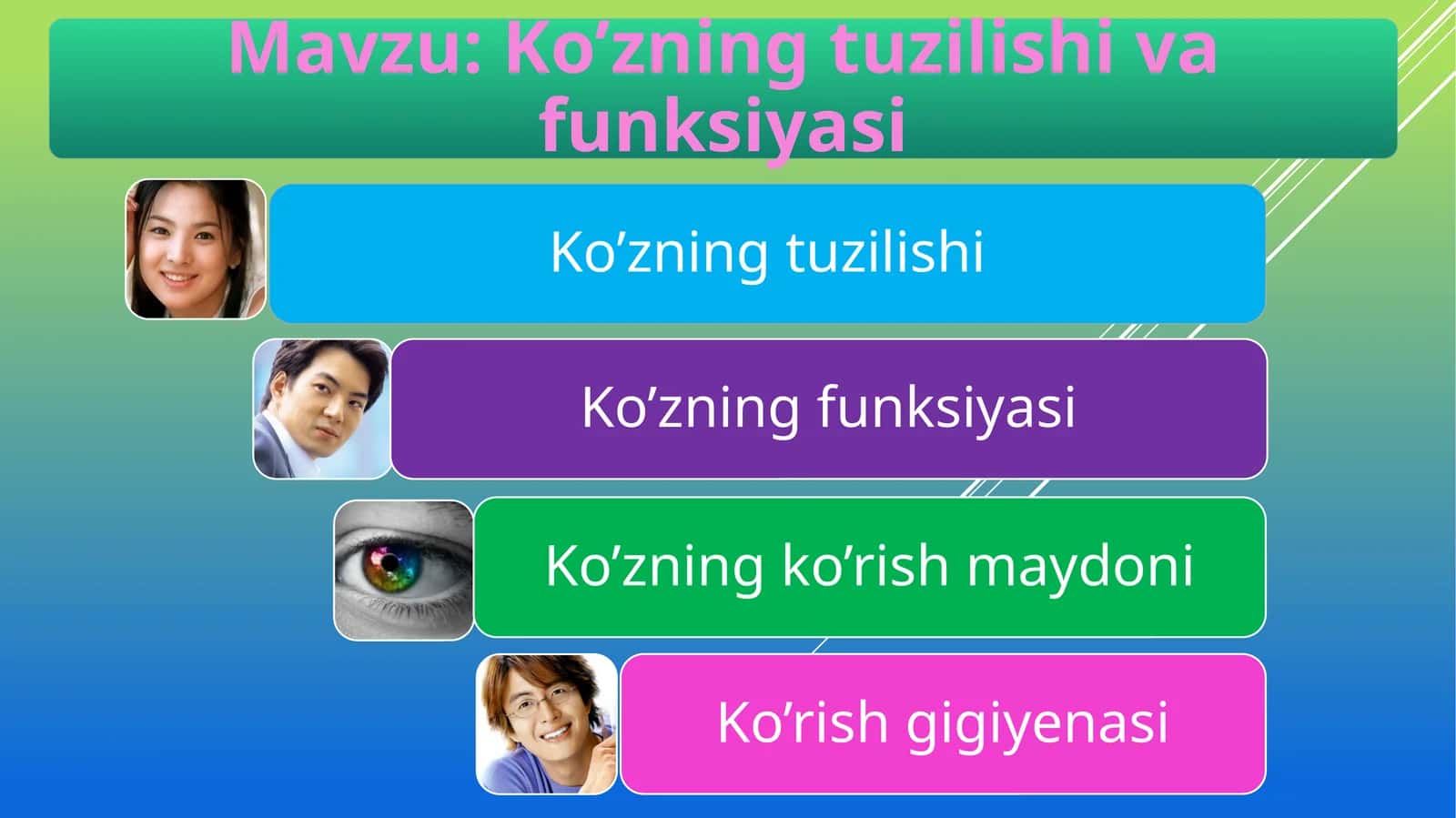 Ko’zning tuzilishi 1
